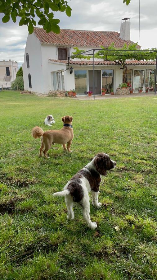 Los Manantiales Casa Rural Alcaraz Eksteriør billede